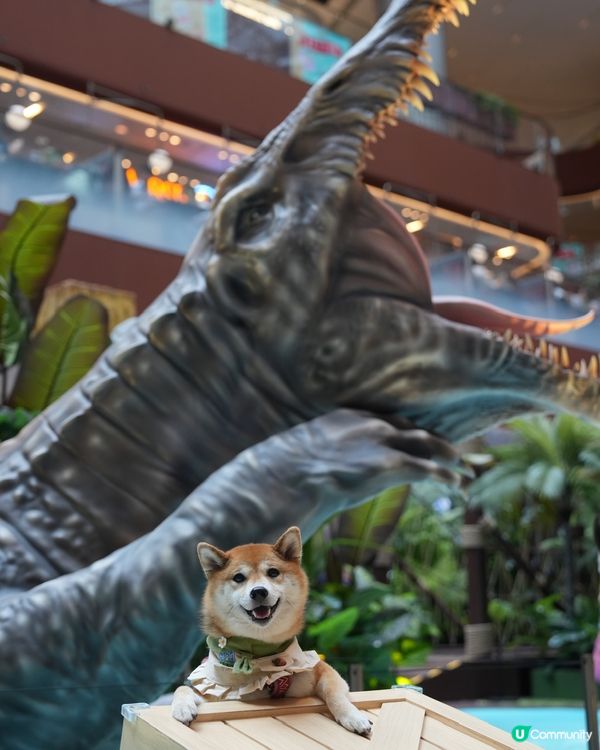 當矇矇遇上棘龍～🦖