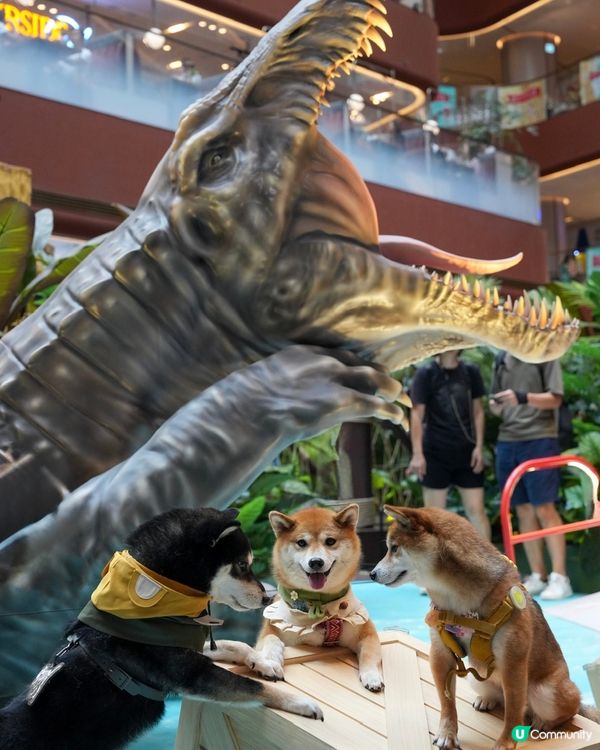 當矇矇遇上棘龍～🦖