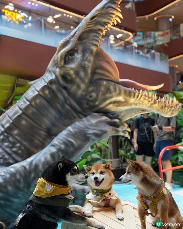 當矇矇遇上棘龍～🦖