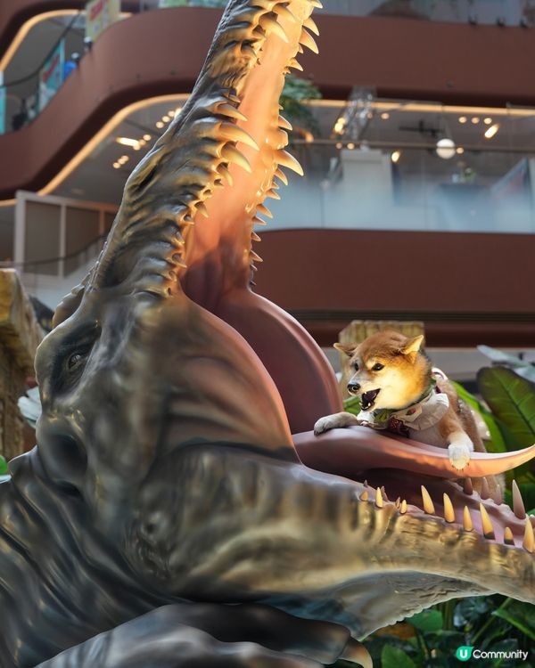 當矇矇遇上棘龍～🦖