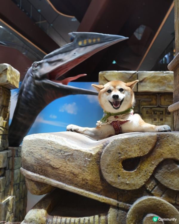 侏羅紀翼龍好型！