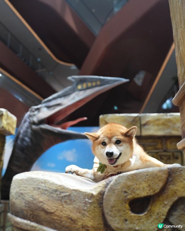 侏羅紀翼龍好型！