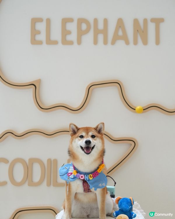 童年回憶 愉快動物餅主題展🦁