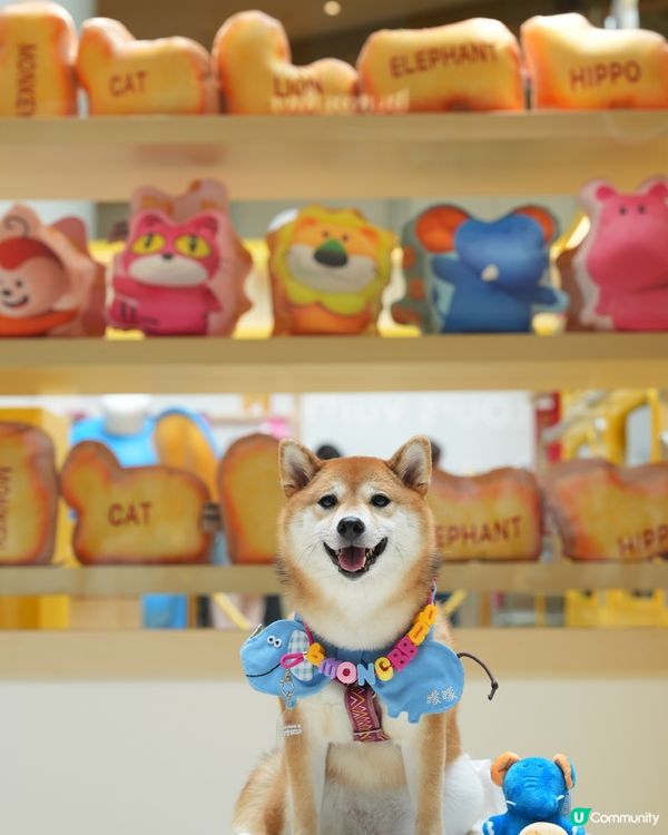 童年回憶 愉快動物餅主題展🦁