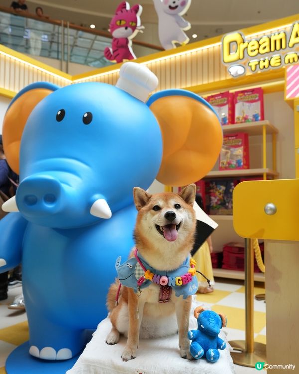 童年回憶 愉快動物餅主題展🦁