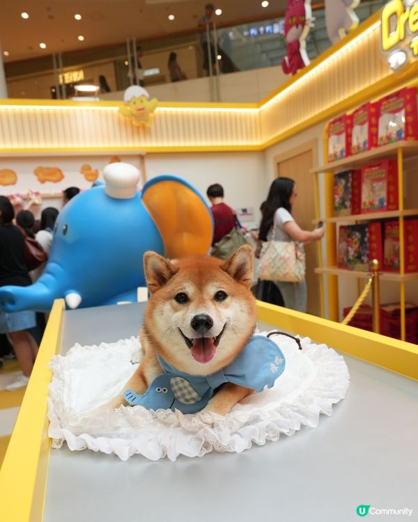 童年回憶 愉快動物餅主題展🦁