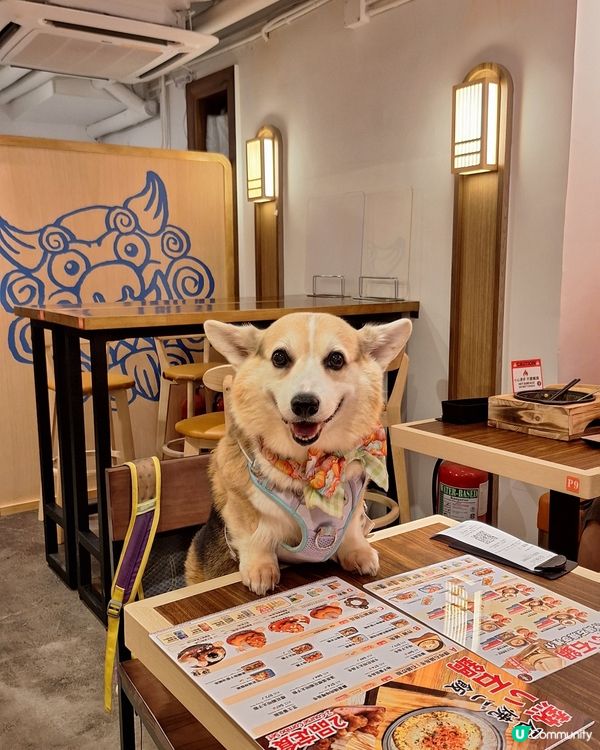 今日試新嘢！日本料理😋 麗新新店開張！🎉