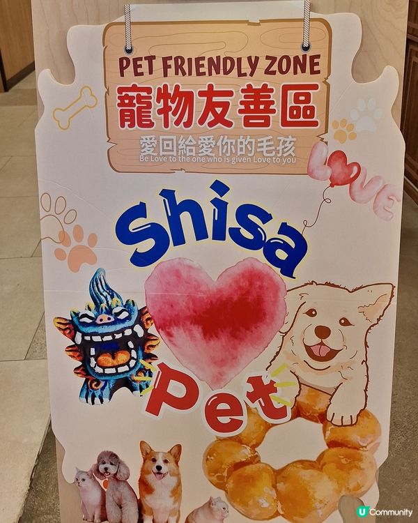 今日試新嘢！日本料理😋 麗新新店開張！🎉