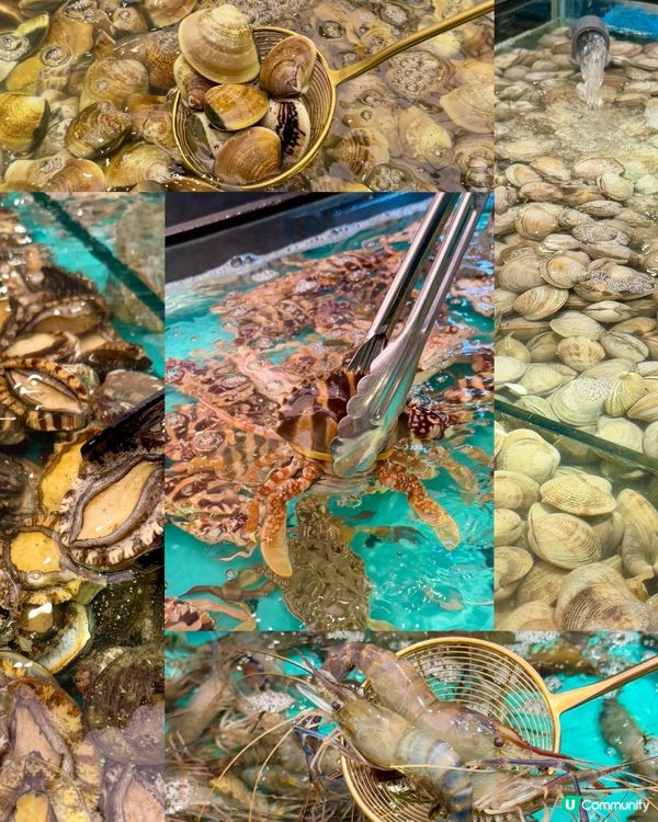 晚市120分鐘 任食即撈鮮活海鮮🦐🦀🐚