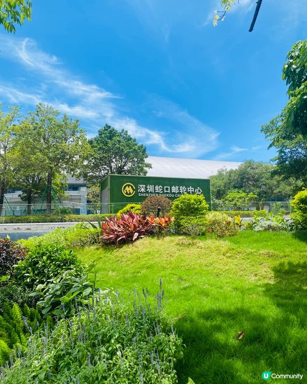 深圳灣南山遊玩攻略！🤩 大堂望海景一流！🌊