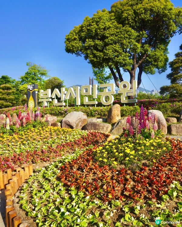 🌸🇰🇷釜山親子放電好去處｜釜山市民公園