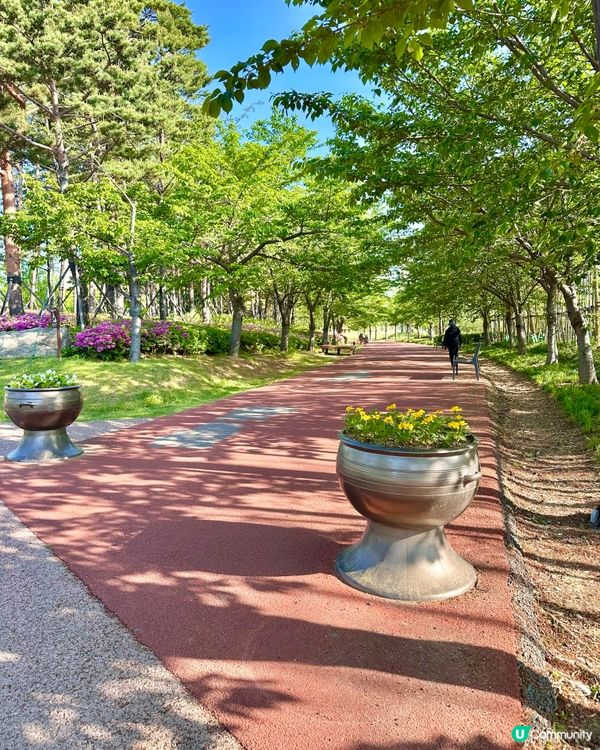 🌸🇰🇷釜山親子放電好去處｜釜山市民公園