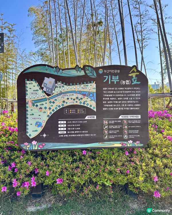 🌸🇰🇷釜山親子放電好去處｜釜山市民公園