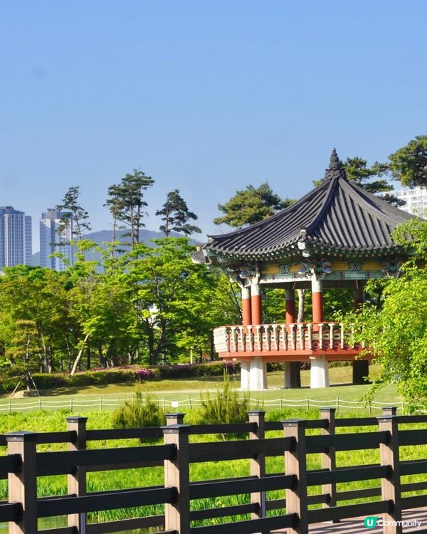 🌸🇰🇷釜山親子放電好去處｜釜山市民公園