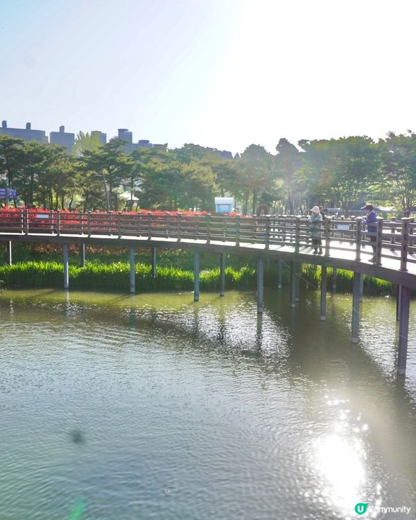 🌸🇰🇷釜山親子放電好去處｜釜山市民公園