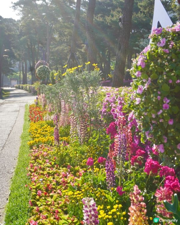 🌸🇰🇷釜山親子放電好去處｜釜山市民公園