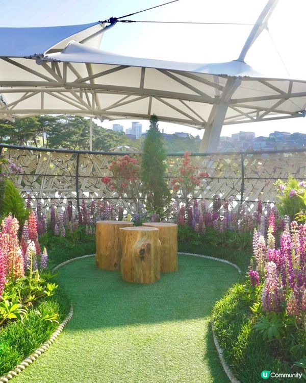 🌸🇰🇷釜山親子放電好去處｜釜山市民公園