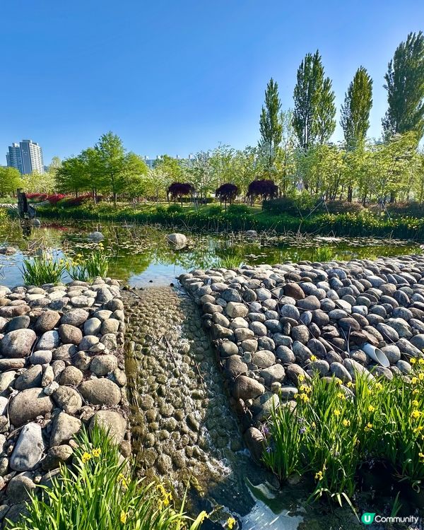 🌸🇰🇷釜山親子放電好去處｜釜山市民公園