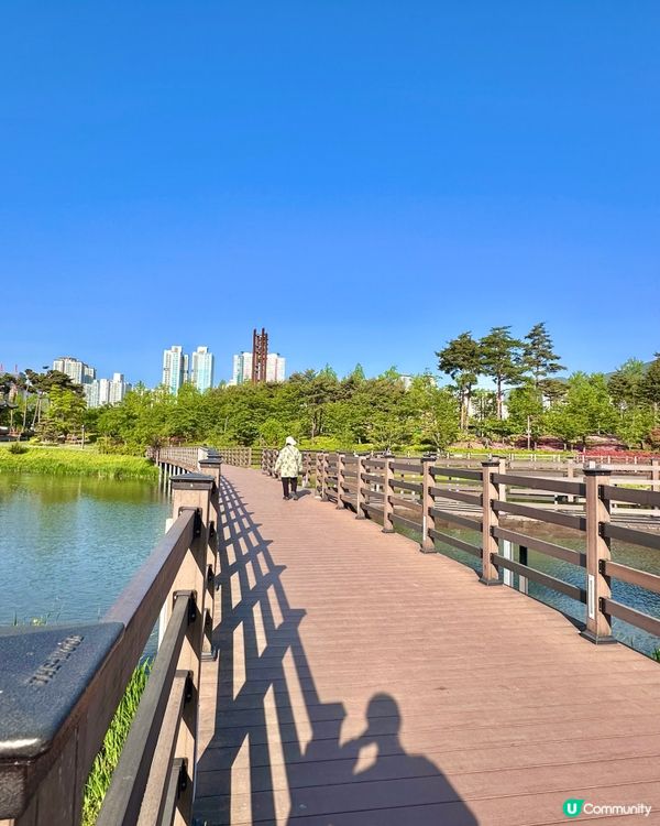 🌸🇰🇷釜山親子放電好去處｜釜山市民公園