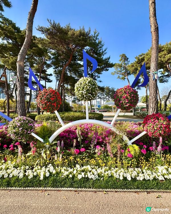 🌸🇰🇷釜山親子放電好去處｜釜山市民公園