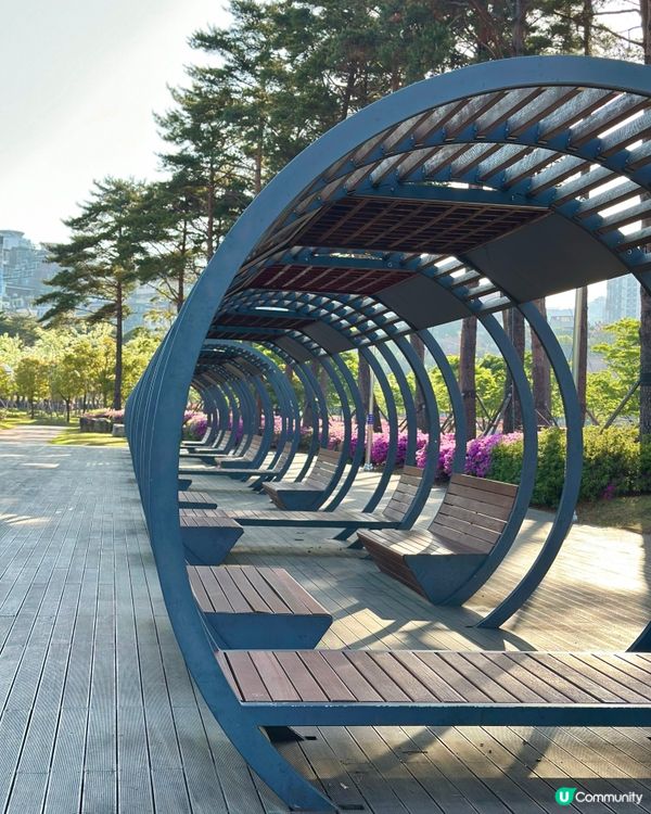 🌸🇰🇷釜山親子放電好去處｜釜山市民公園