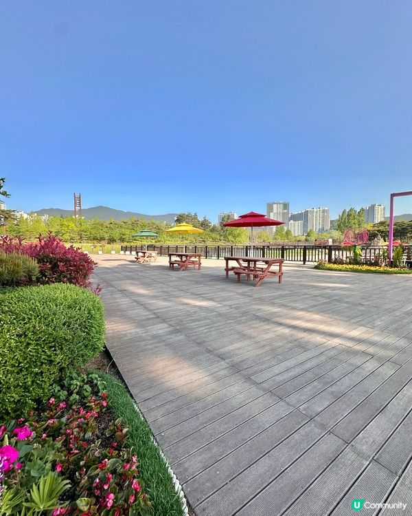 🌸🇰🇷釜山親子放電好去處｜釜山市民公園