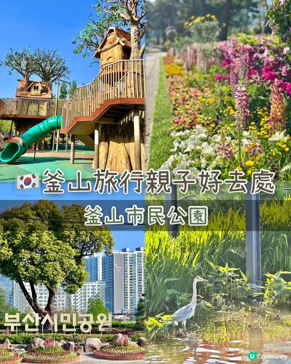 🌸🇰🇷釜山親子放電好去處｜釜山市民公園