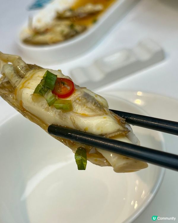 [勞蘇食]超鮮海蟶菜式🔱