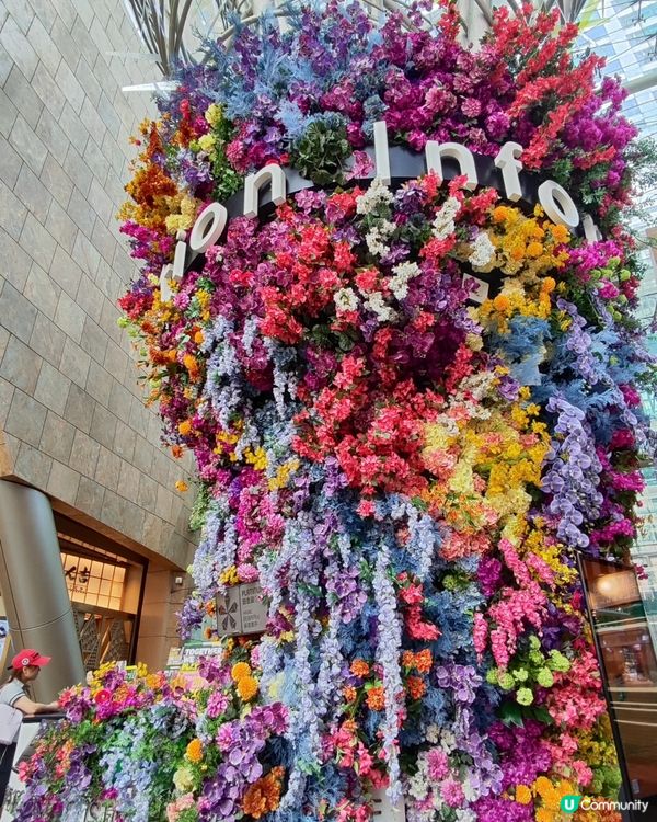 🦑魷魚遊戲3聯乘！朗豪坊期間限定店🔥