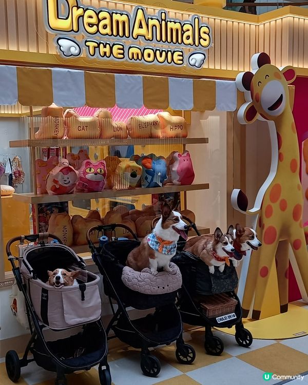 狗兒爱吃動物餅