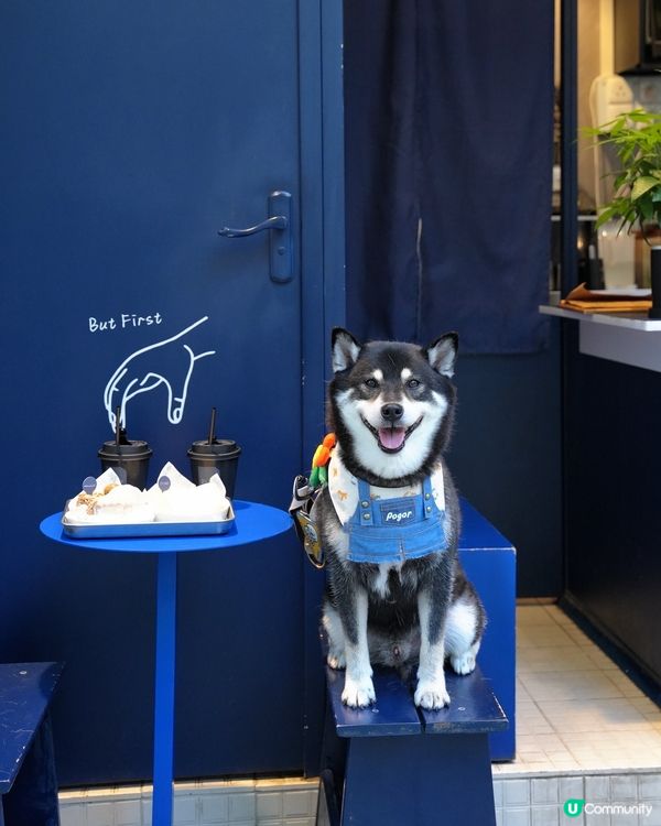 油麻地轉角Cafe小店🤤！勁軟滑cheese cake😋