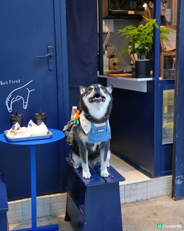 油麻地轉角Cafe小店🤤！勁軟滑cheese cake😋