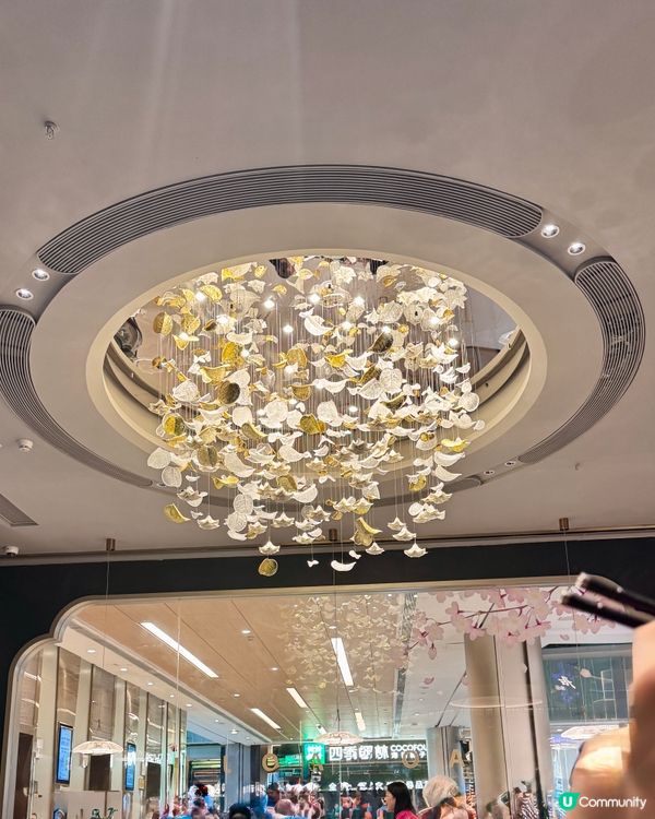 陶陶居羅湖新店😋 點心控衝呀📣