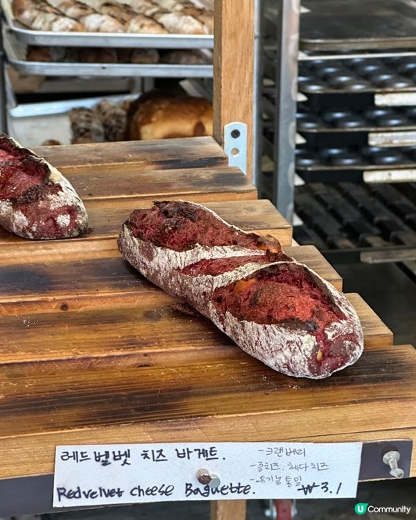 🍞包控一定要收藏‼️🇰🇷濟州島性價比超高嘅法包‼️👍🏻