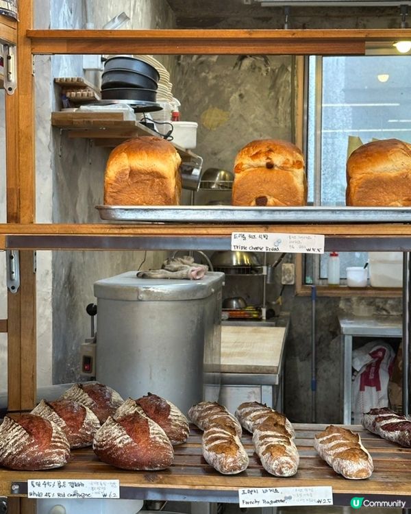 🍞包控一定要收藏‼️🇰🇷濟州島性價比超高嘅法包‼️👍🏻