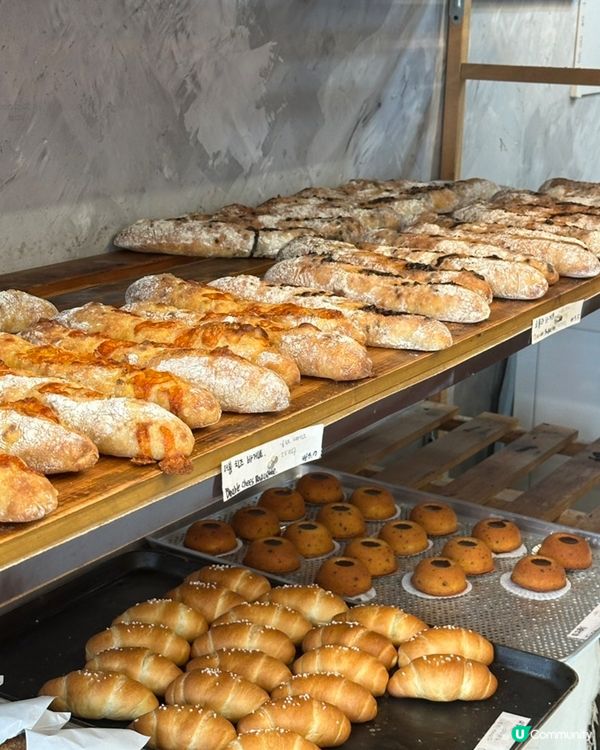 🍞包控一定要收藏‼️🇰🇷濟州島性價比超高嘅法包‼️👍🏻