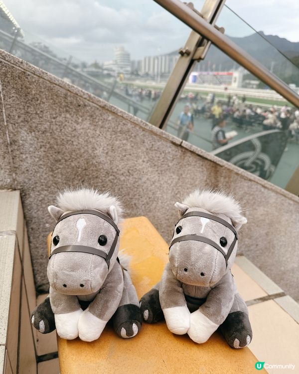 沙田馬場煞科日！海南雞髀超正🤤