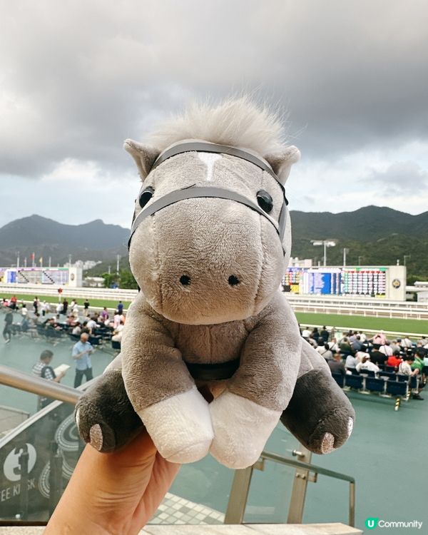 沙田馬場煞科日！海南雞髀超正🤤
