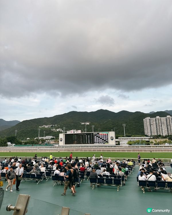 沙田馬場煞科日！海南雞髀超正🤤