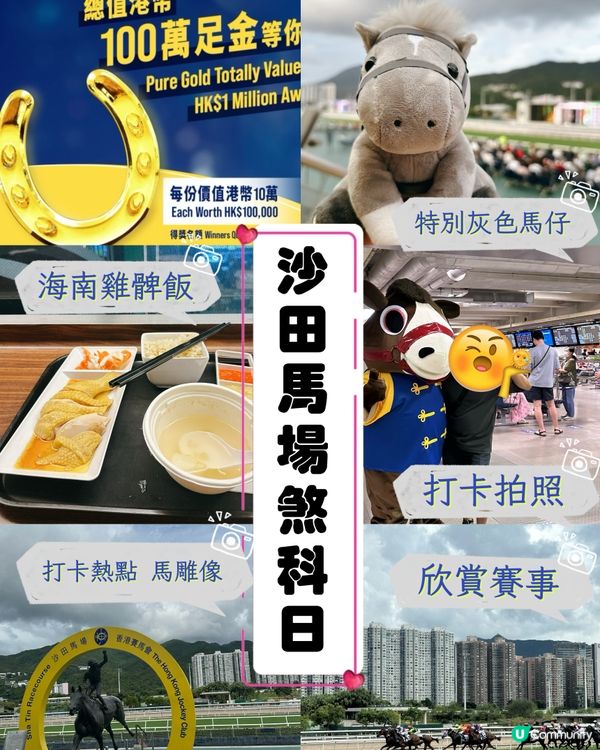 沙田馬場煞科日！海南雞髀超正🤤