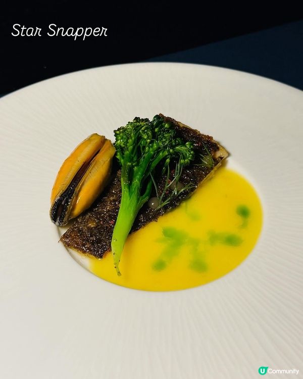 維港靚景·101層Fine Dining🥂