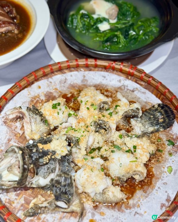 【深圳土著激推!華僑城非遺客家宴🏮】