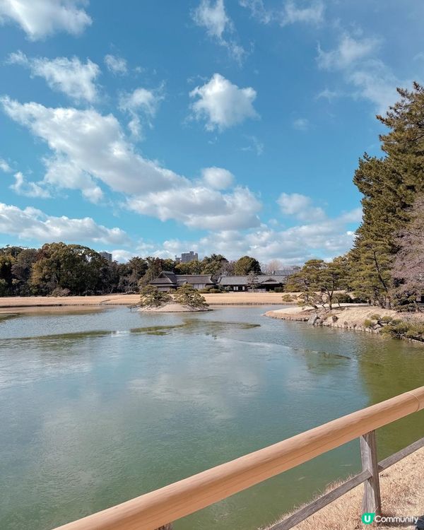 岡山後樂園🇯🇵！日本三大庭園之一！📸 靚爆