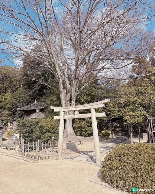 岡山後樂園🇯🇵！日本三大庭園之一！📸 靚爆