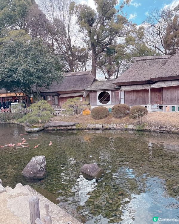 岡山後樂園🇯🇵！日本三大庭園之一！📸 靚爆