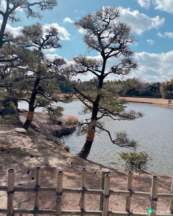 岡山後樂園🇯🇵！日本三大庭園之一！📸 靚爆