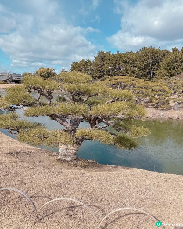 岡山後樂園🇯🇵！日本三大庭園之一！📸 靚爆
