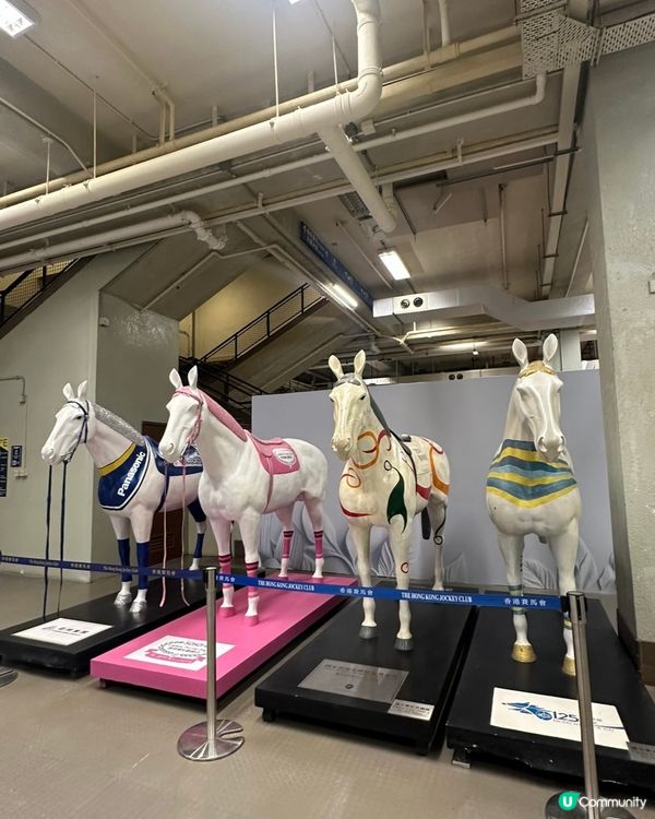 沙田馬場煞科日！海南雞髀超正🤤