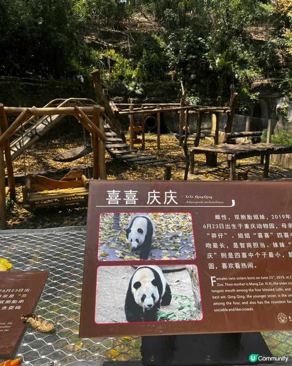 煩囂都市，偷得浮生半日閒。