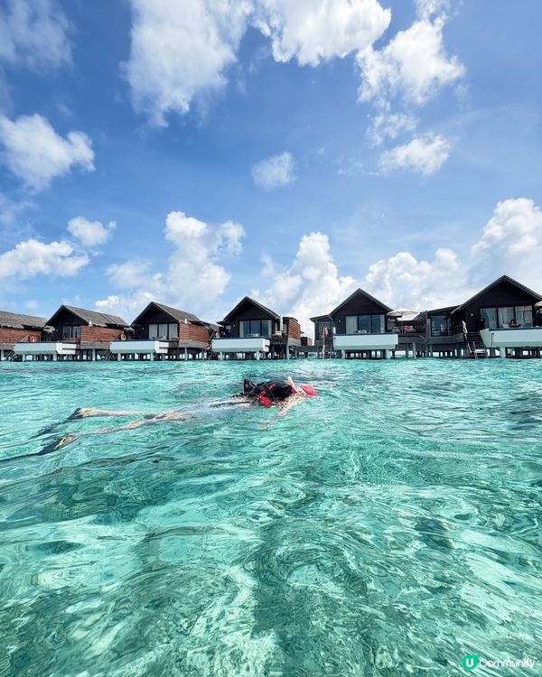 未見過咁藍咁清嘅海水，每朝起身都望住震撼嘅海景，連沖涼都望到...